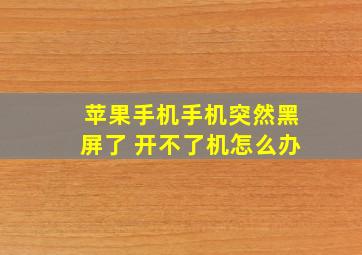 苹果手机手机突然黑屏了 开不了机怎么办